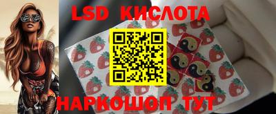 гидропоника Можайск