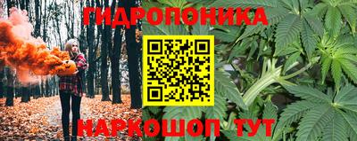 молекула духа Можга